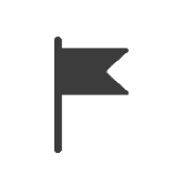 flag icon